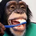 tUMqBixuUSPyKw2Gy5HFOnmcMBQ